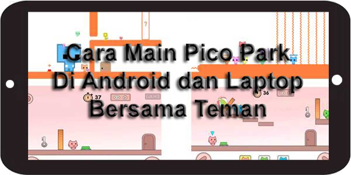 Cara Main Pico Park Di Android Dan Laptop Bersama Teman